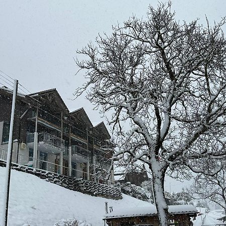 Lake Facing Studio Niederried bei Interlaken 외부 사진