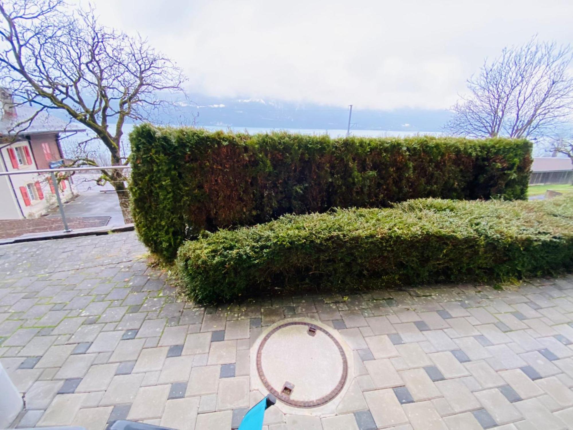 Lake Facing Studio Niederried bei Interlaken 외부 사진