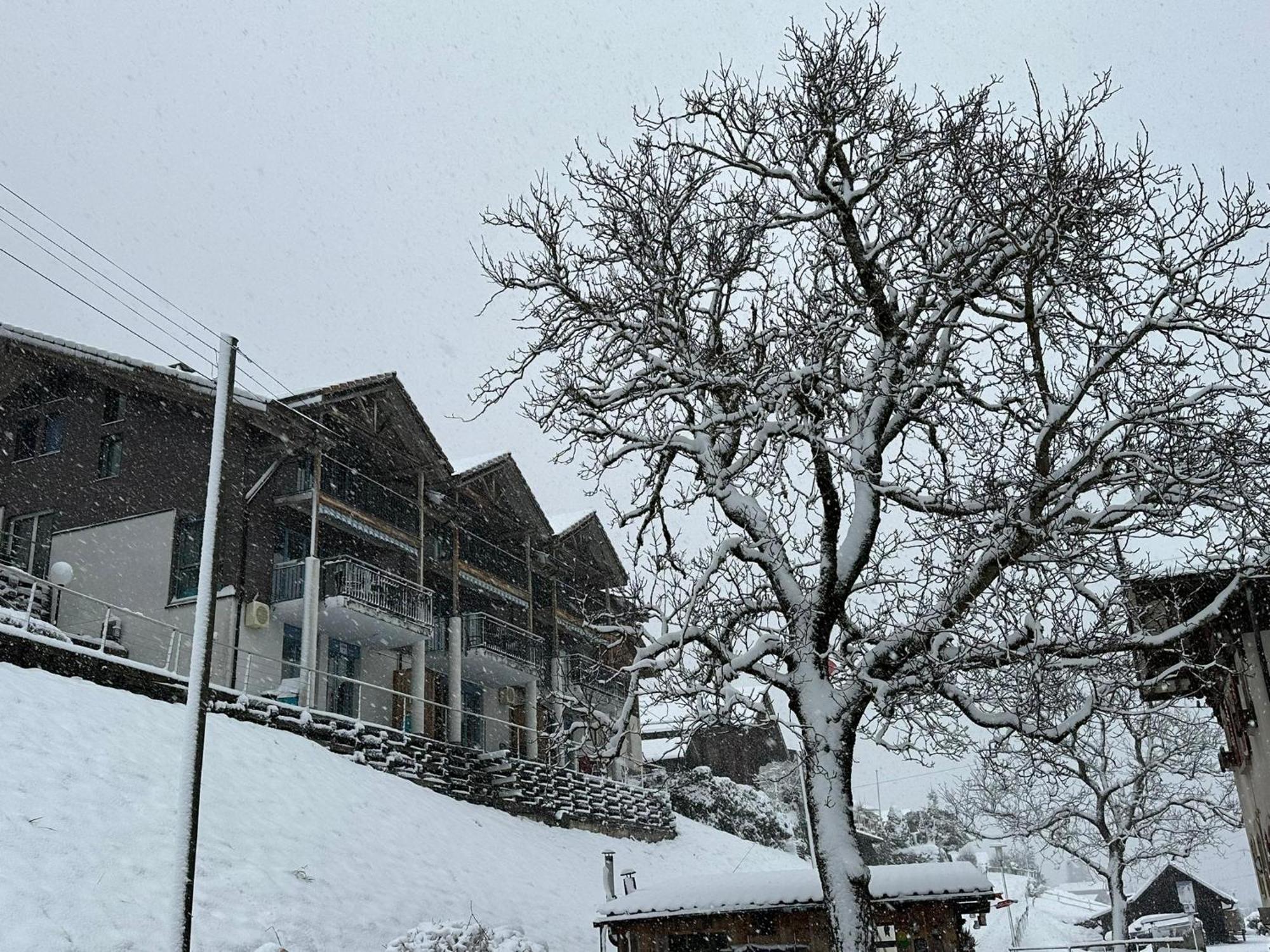 Lake Facing Studio Niederried bei Interlaken 외부 사진