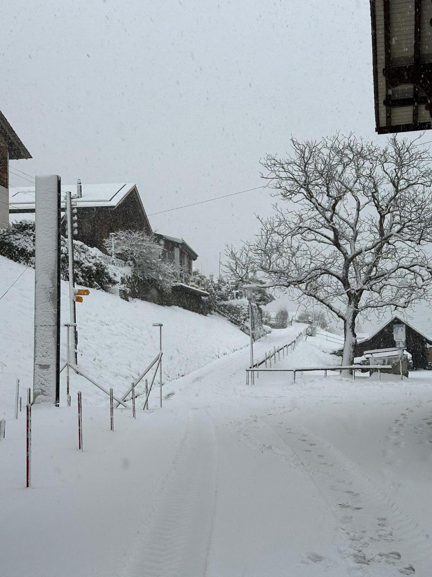 Lake Facing Studio Niederried bei Interlaken 외부 사진