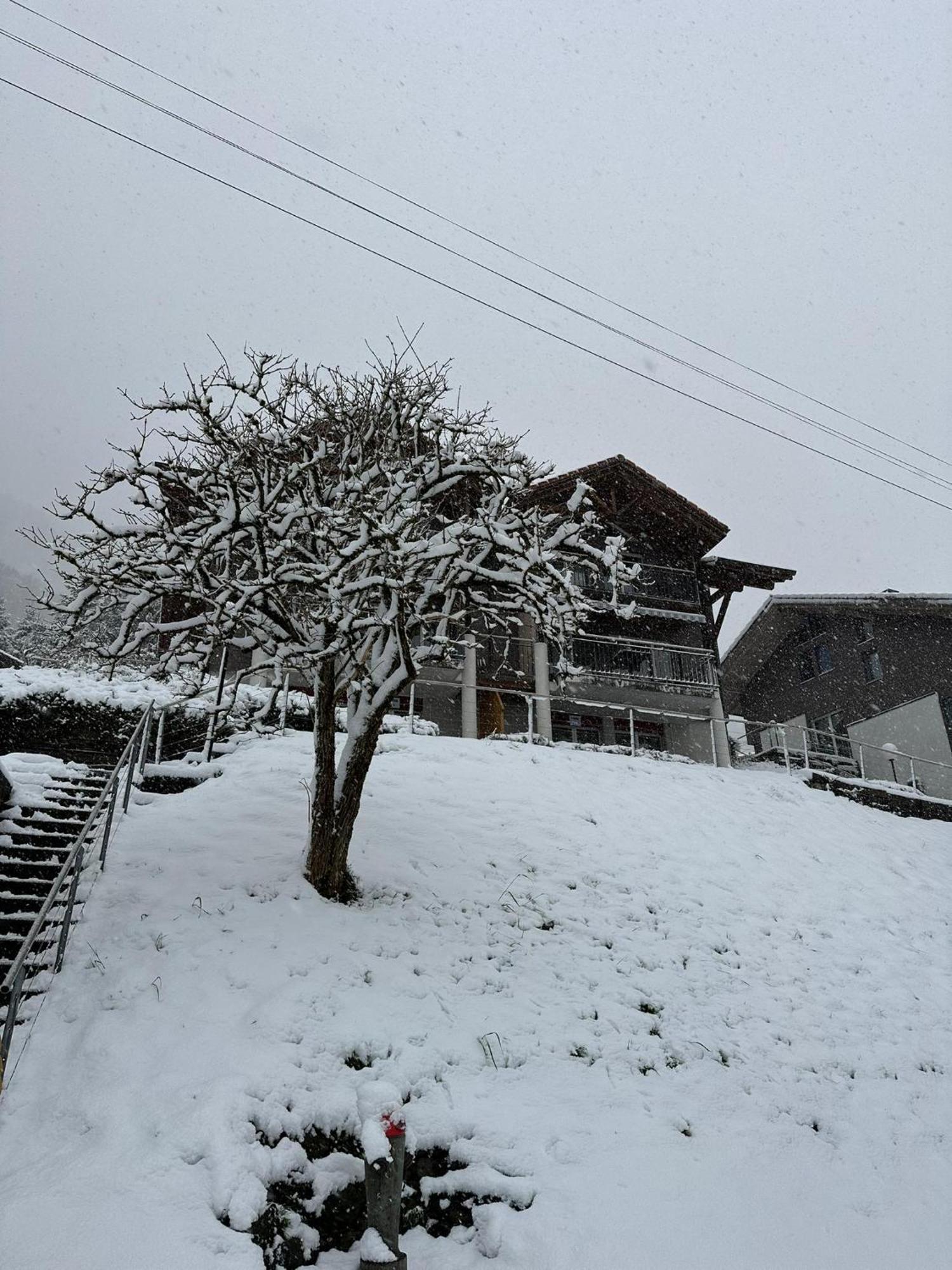 Lake Facing Studio Niederried bei Interlaken 외부 사진
